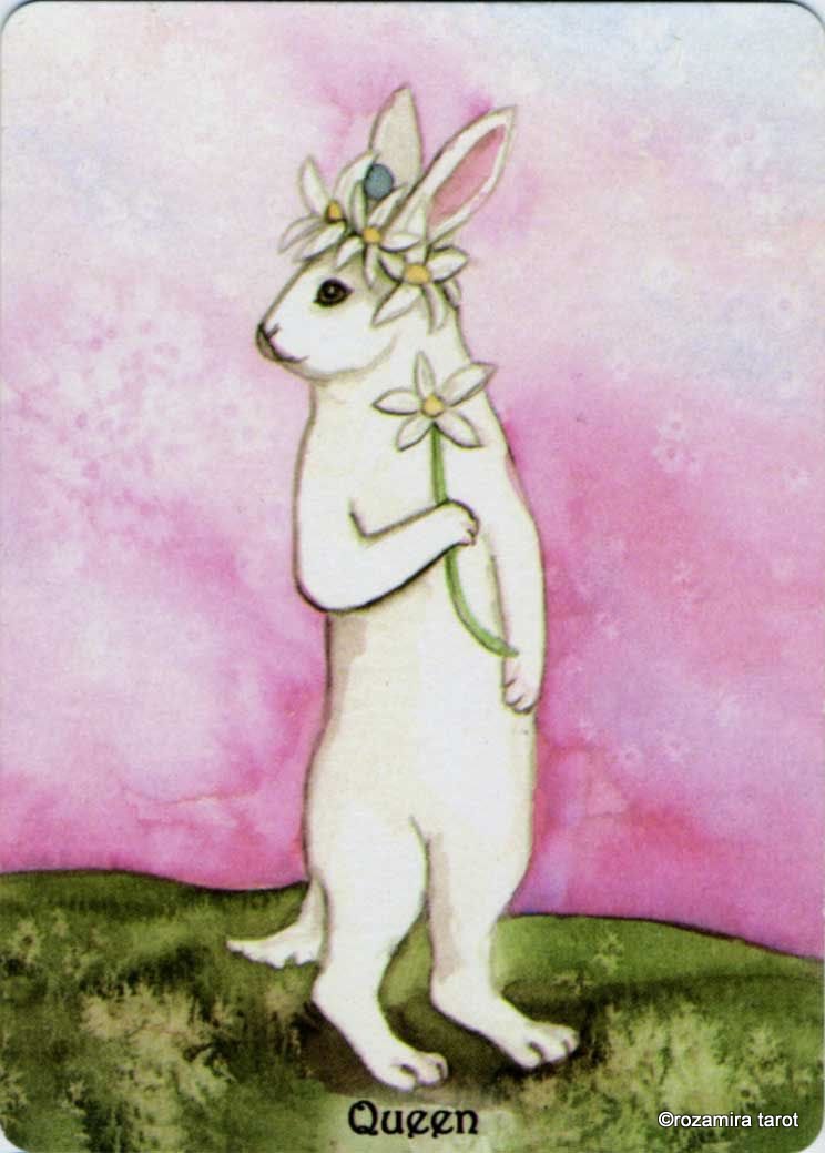 Rabbit Tarot